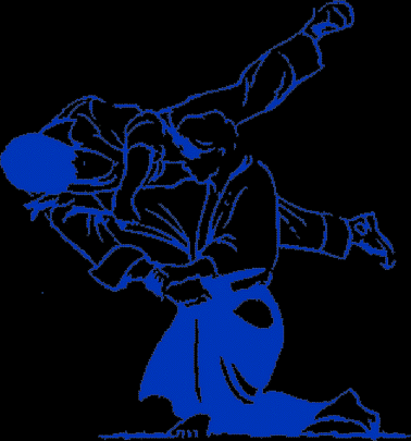 American Jiu Jitsu @ MIT